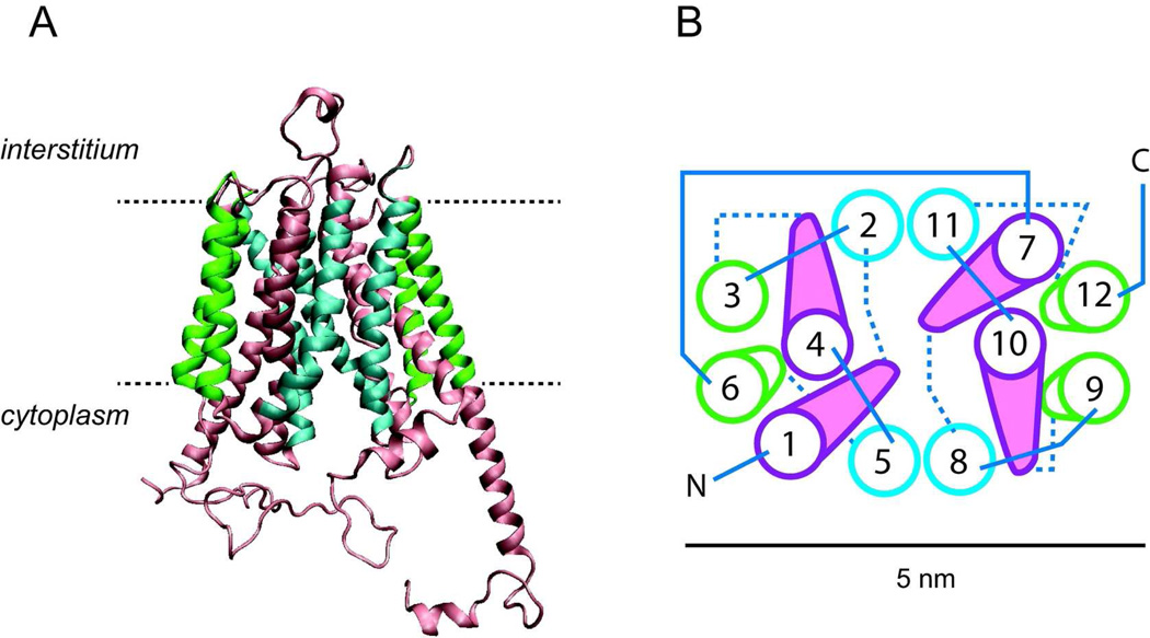 FIGURE 2