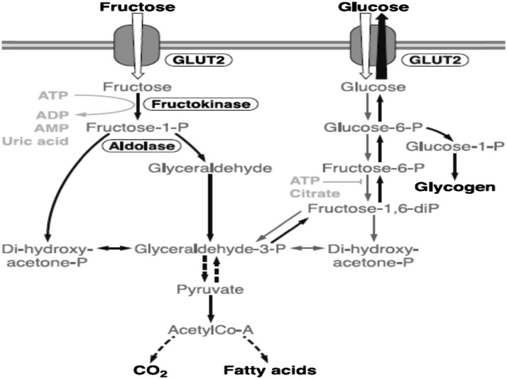 FIGURE 4 