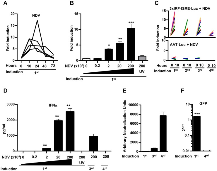 Fig 4