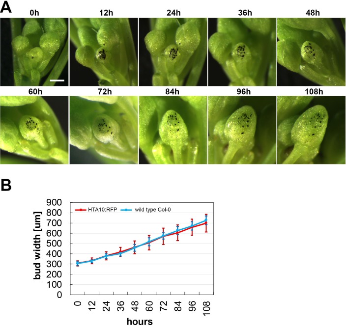 Figure 1—figure supplement 1.