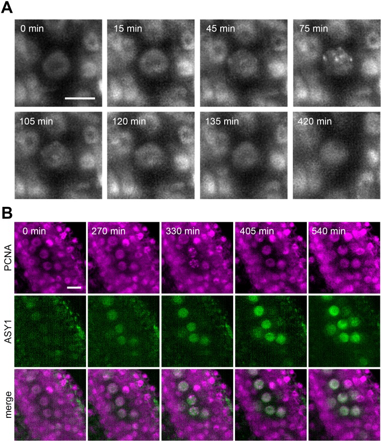 Figure 6.