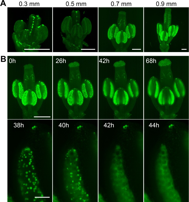 Figure 4.