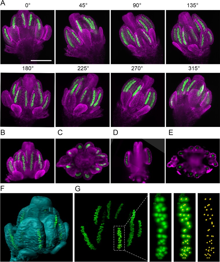 Figure 2.