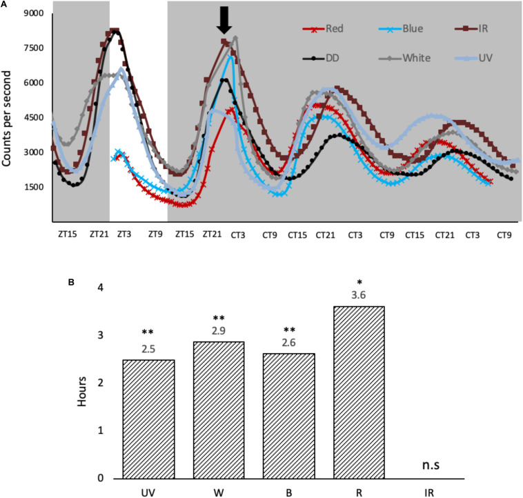 FIGURE 3