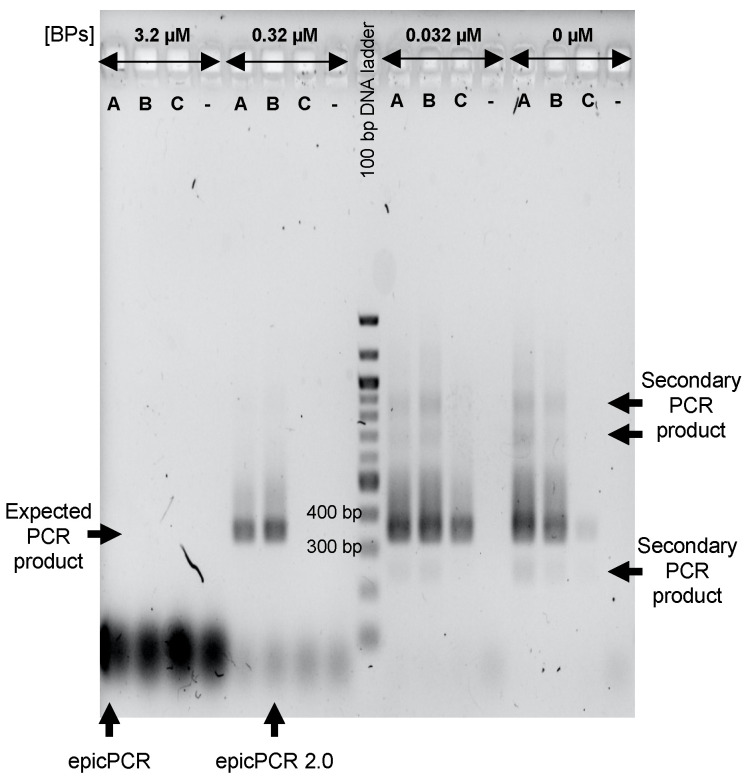 EpicPCR 2.0: Technical and Methodological Improvement of a Cutting-Edge ...