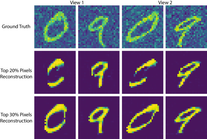 Fig. 10