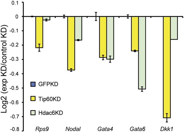 Figure 5—figure supplement 3.