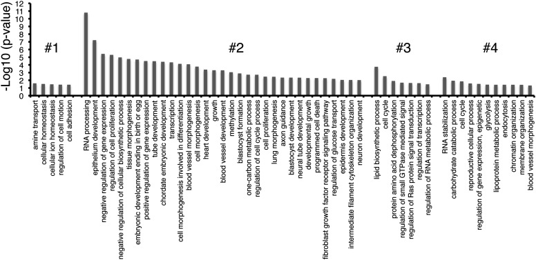 Figure 3—figure supplement 4.