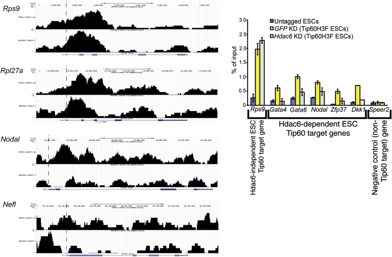 Figure 6—figure supplement 1.