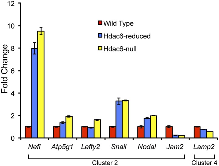 Figure 3—figure supplement 3.