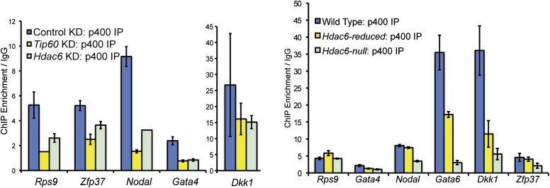 Figure 6—figure supplement 2.