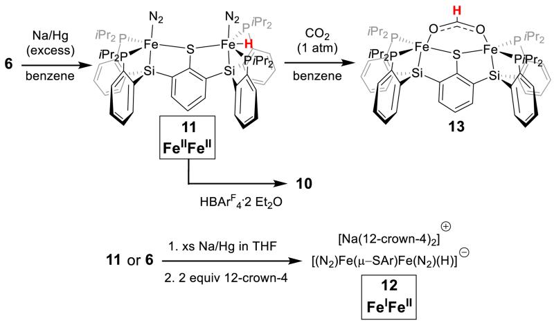 Scheme 4