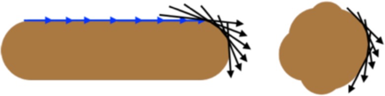 Figure 1—figure supplement 2.