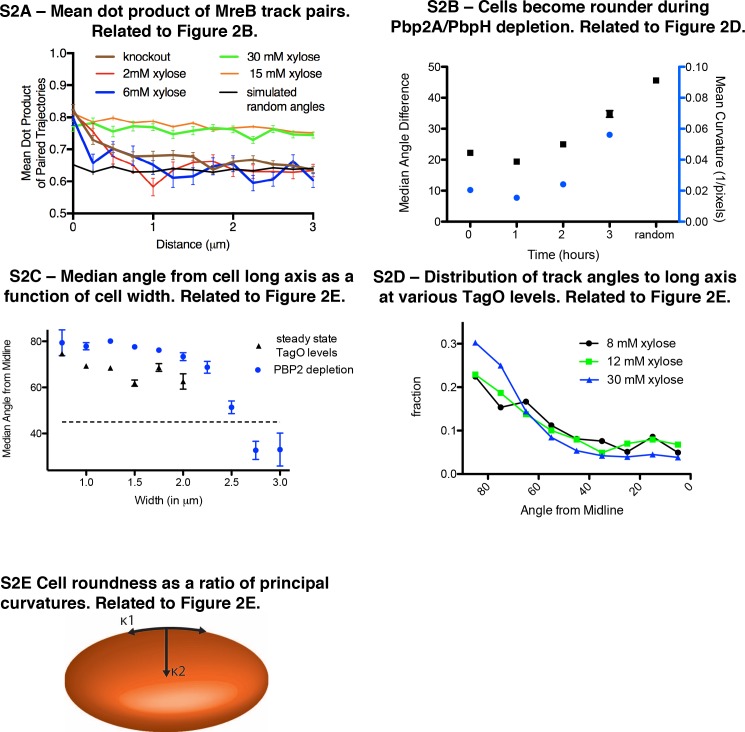 Figure 2—figure supplement 1.