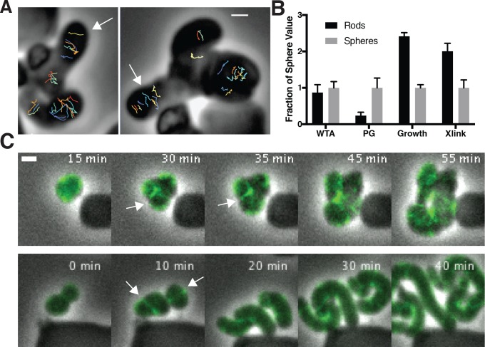 Figure 6.