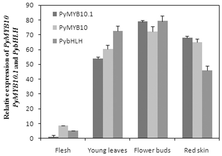 Fig 3