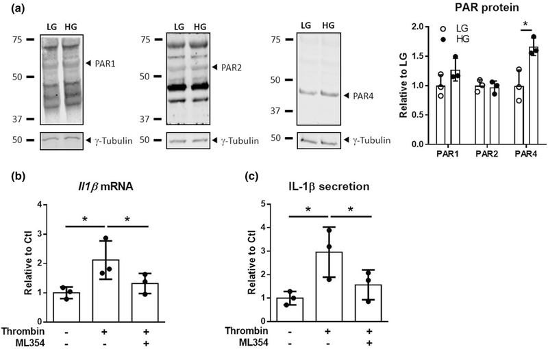 Fig. 10