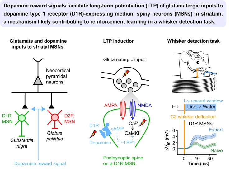 Graphical Abstract