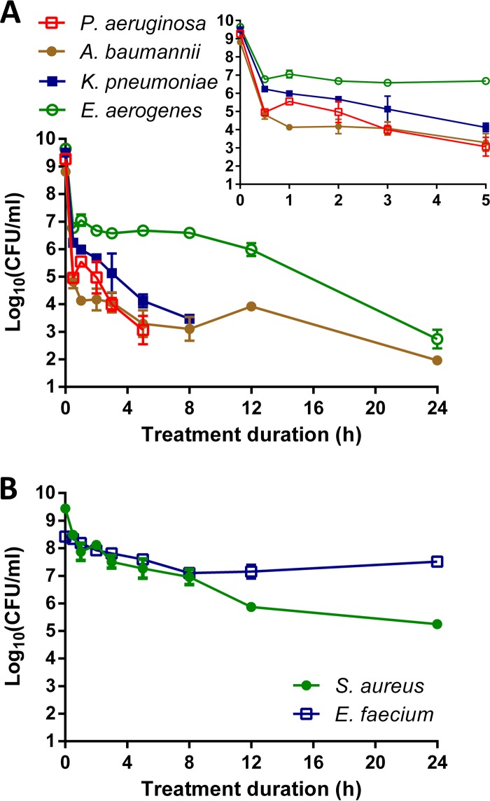 FIG 2