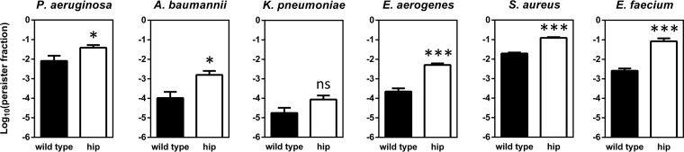 FIG 5