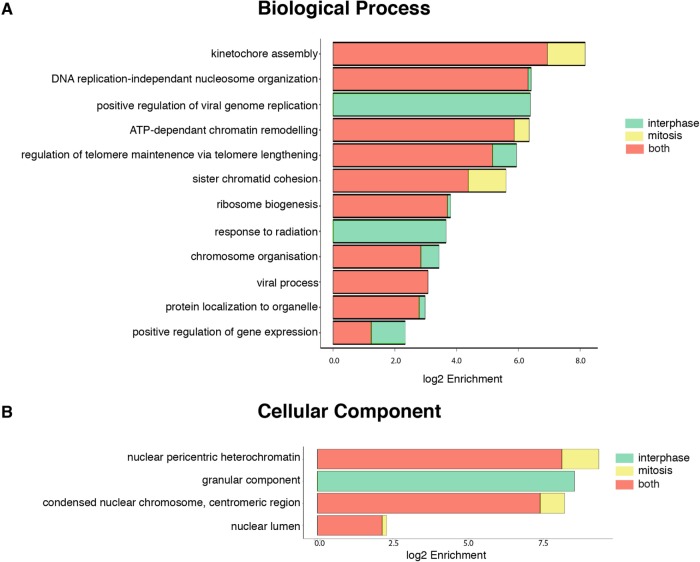 FIGURE 6: