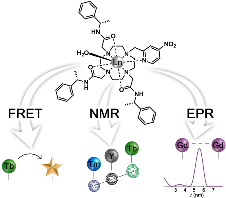 graphic file with name CHEM-27-13009-g008.jpg