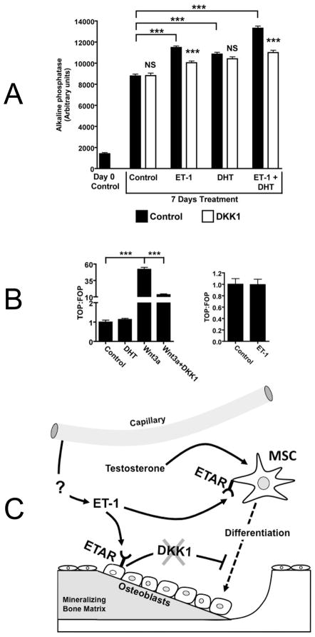 Fig 7