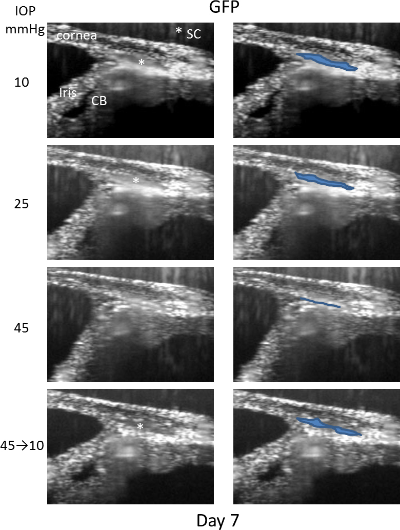 Figure 7