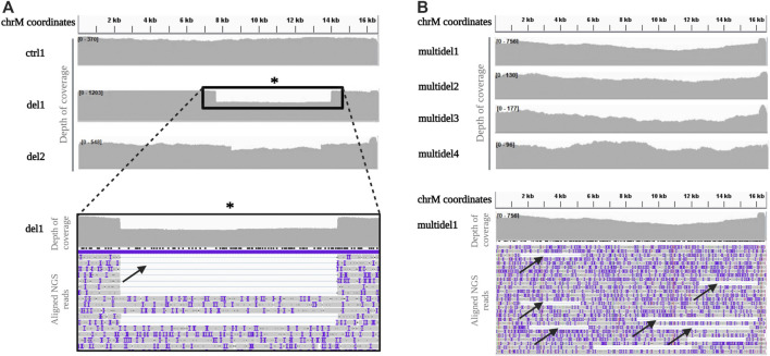 FIGURE 3