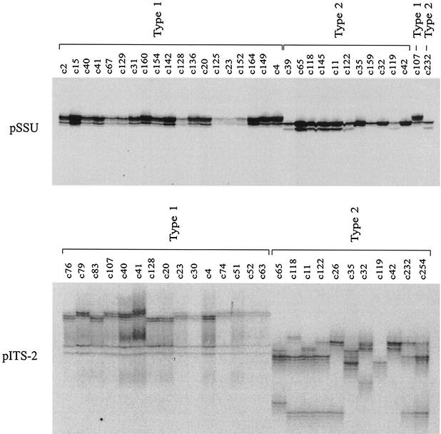 FIG. 5.