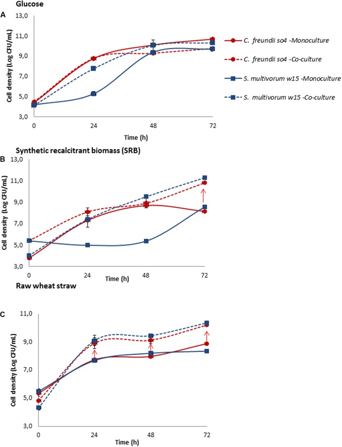 FIGURE 3