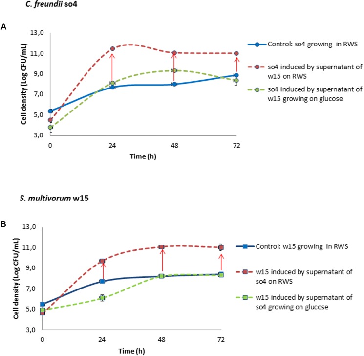 FIGURE 4