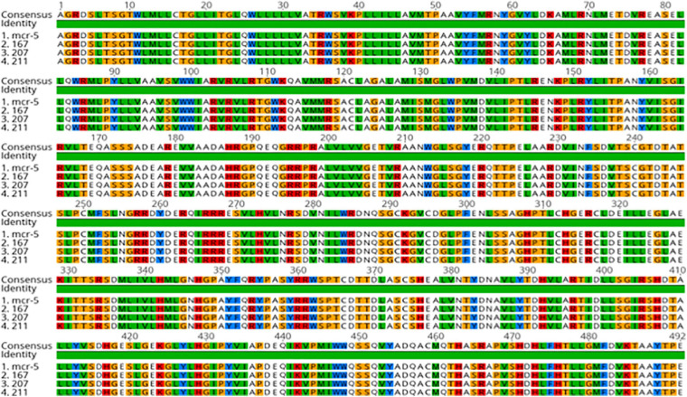 FIGURE 4