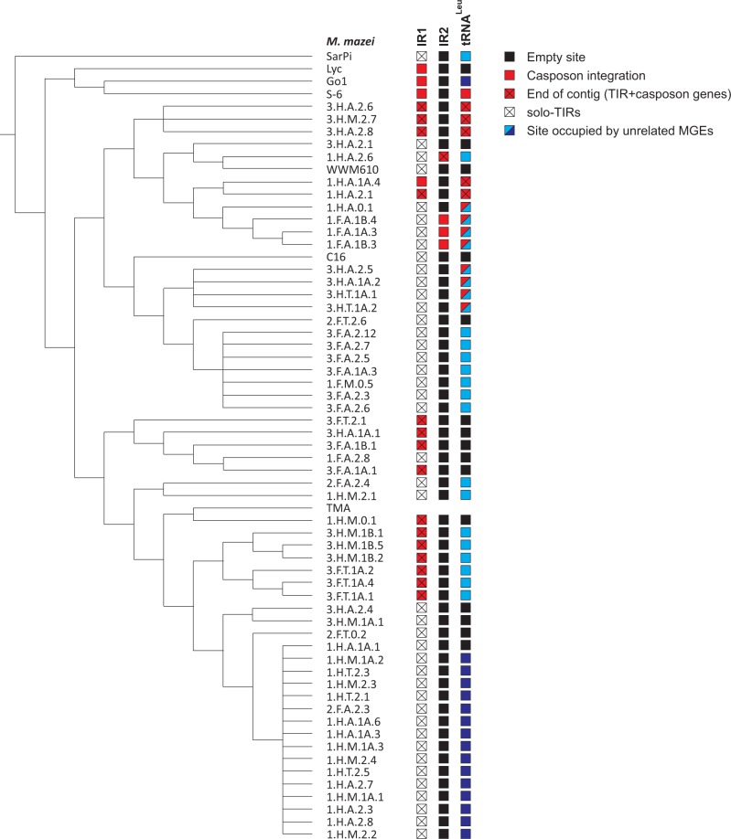 Fig. 4.—