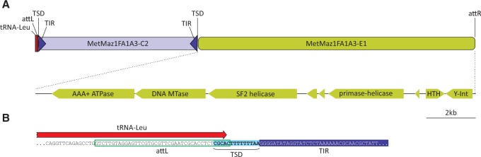 Fig. 6.—