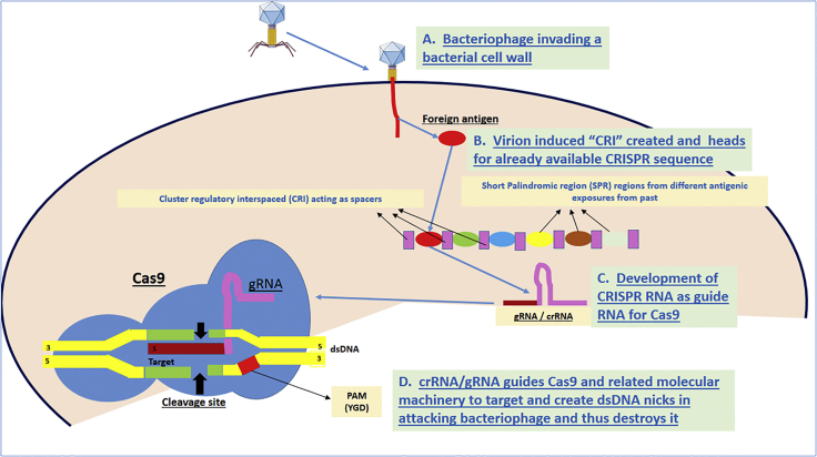 Figure 6