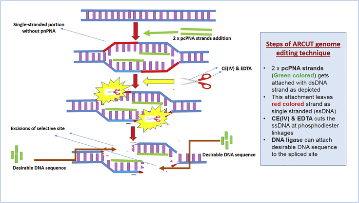 Figure 2