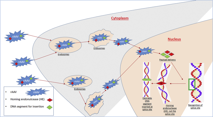 Figure 3