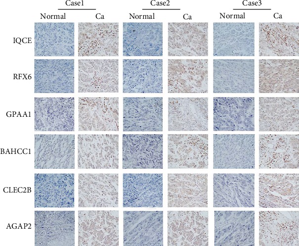 Figure 13