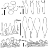 Figure 7.