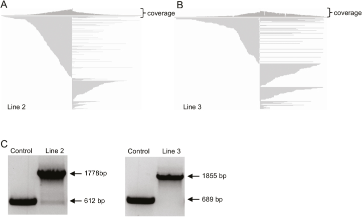 Fig. 3.