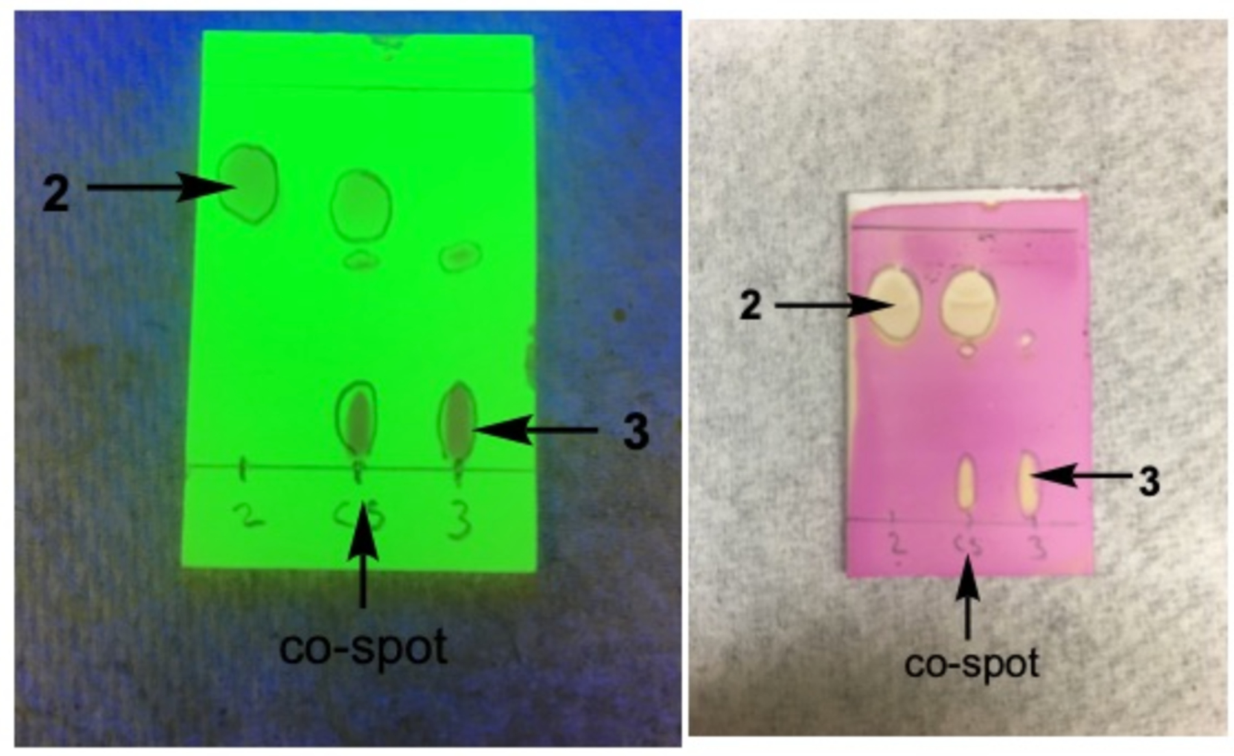Figure 17.