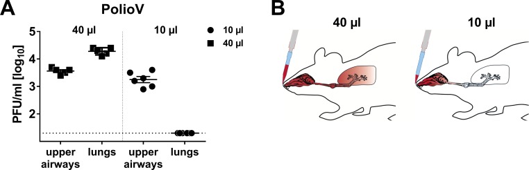 Figure 1—figure supplement 1.