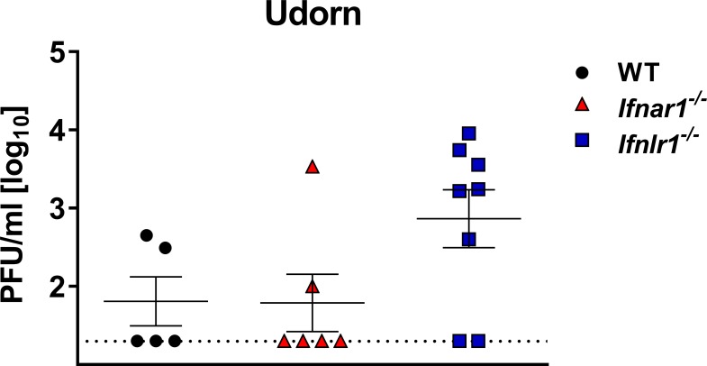 Figure 5—figure supplement 1.