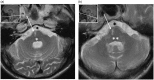Figure 10.