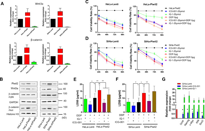 Figure 5