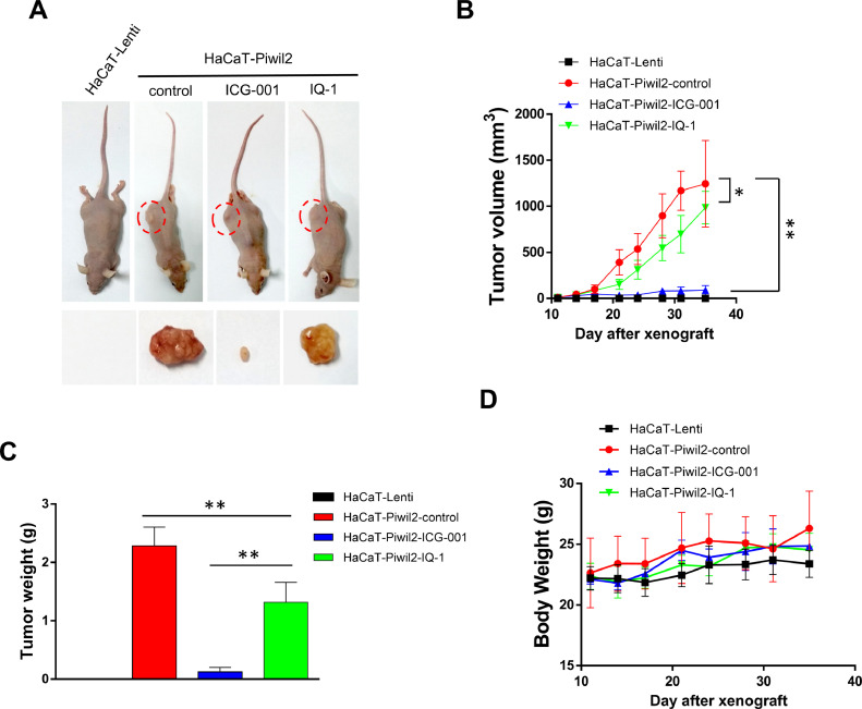 Figure 3