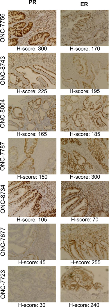 Figure 2: