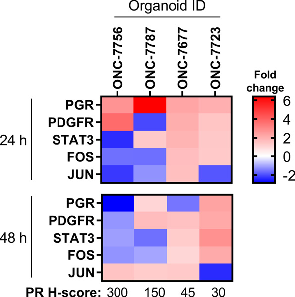 Figure 3: