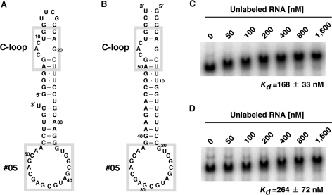 Figure 5.